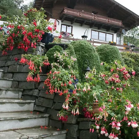 Apartment Schernthaner *