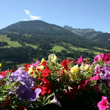 Schernthaner * Taxenbach