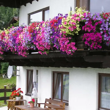 Apartment Schernthaner