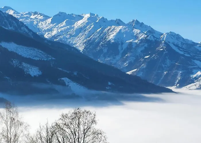 Schernthaner アパート