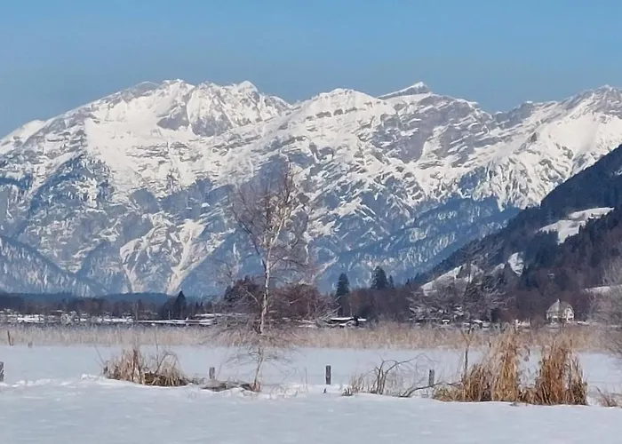 アパート Schernthaner *