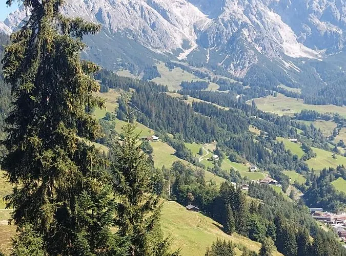 Schernthaner * タクセンバッハ