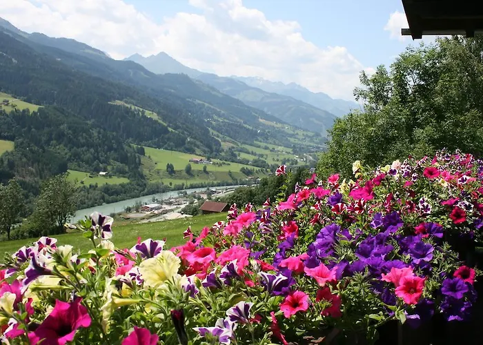 Schernthaner アパート