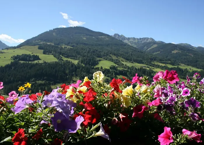 Schernthaner * タクセンバッハ