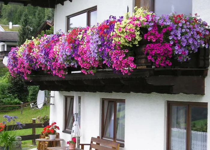 アパート Schernthaner