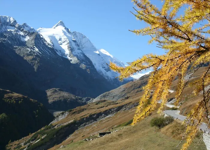 アパート Schernthaner *